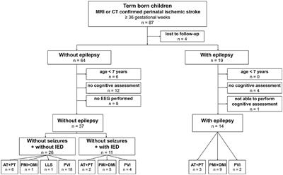 General ability and specific cognitive functions are lower in children with epilepsy after perinatal ischemic stroke